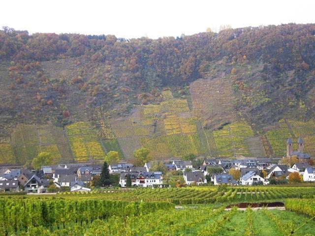 Gaestehaus Bleser *