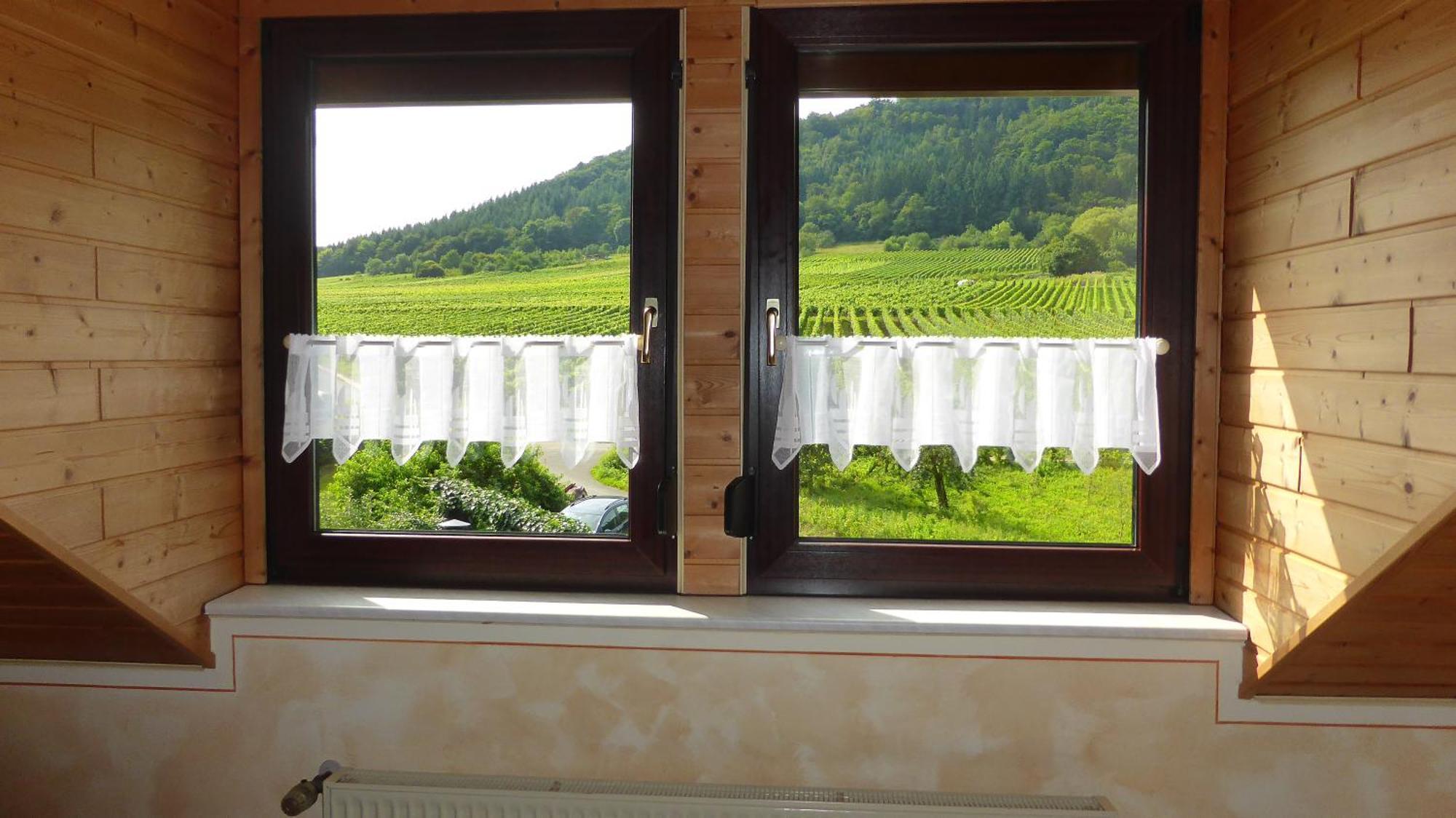 Apartment Gaestehaus Bleser *